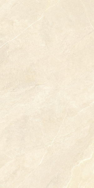 Ardestone Песочный Матовый R10a 60x120 