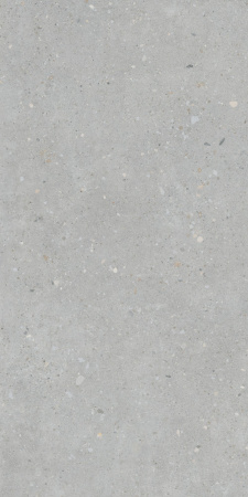   FlakeCement Серый МатR10A 60x120 (1,44) 