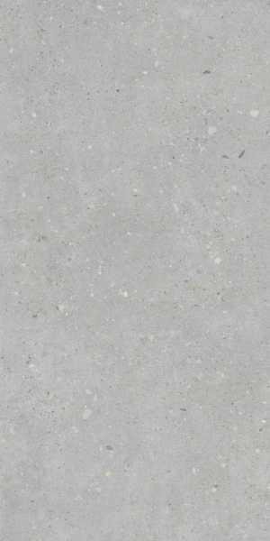   FlakeCement Серый МатR10A 60x120 