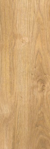   Calacatta Quercia Natural Rett 25x75 