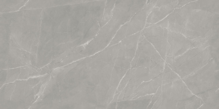  Vintage Armani Grey Porce 60x120 