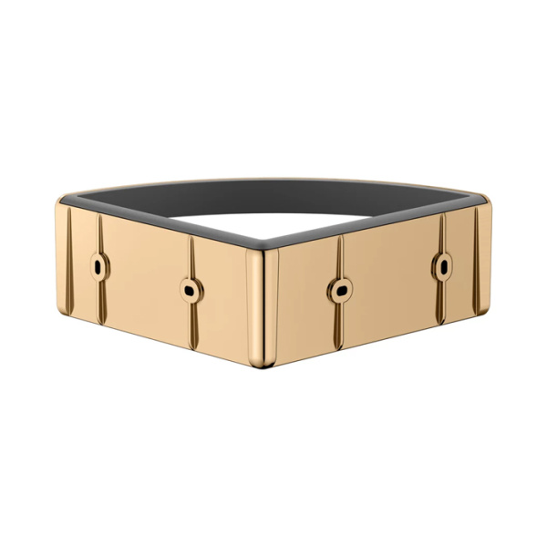 Keuco ELEGANCE Угловая полочка для душа, съемная вставка (небьющаяся и нечувств. к УФ), скрытый крепеж в к-те цвет: brushed brass/anthracite 