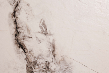  Cleo White Stonelo Carving 60x120 