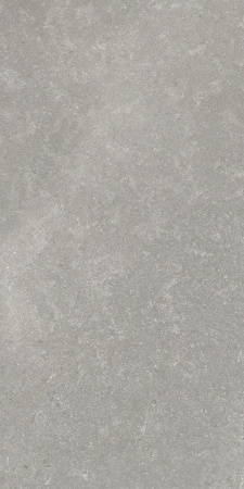   SandStone Серый МатR10A 60x120 (1,44) 