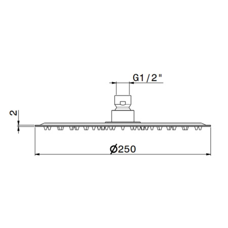 Newform X-Steel 316 Верхний душ, d250 мм, без кронштейна, G1/2" , цвет: нержавеющая сталь 