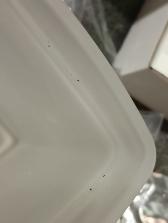 Emco Cue Ершик подвесной, матовое стекло/ хром (небольшие сколы внутри колбы) 