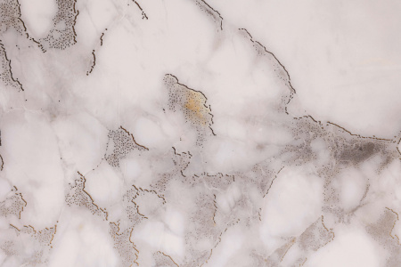  Canberra Polished Gold Carving 60x120 