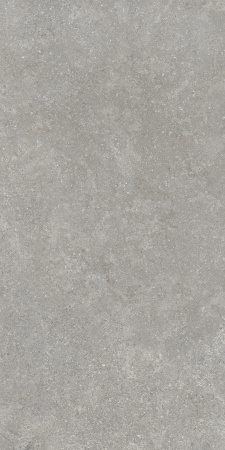   SandStone Серый МатR10A 60x120 (1,44) 