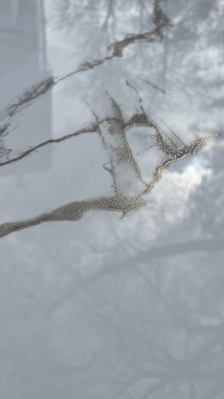  Атенс полированный золотой карвинг 60x120 (1,44) 