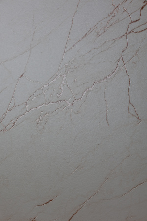  Астра матовый карвинг 60x120 (1,44) 