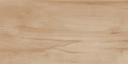  Пэйнт Вуд бежевый матовый 60x120 (1,44) 