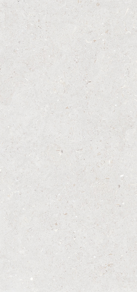 Керамогранит Stx Fossil Bianco 3pc 59,8х119,8 