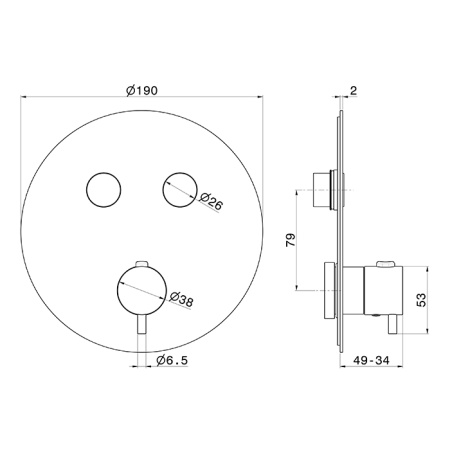 Newform X-Steel 316 Наружная часть для термостатического смесителя, на 2 источника, переключение - кнопки (для 27751) цвет: PVD Brushed gold 