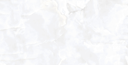  Coin White Glossy 60x120 