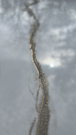  Атенс полированный золотой карвинг 60x120 (1,44) 