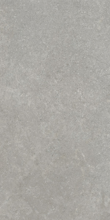   SandStone Серый МатR10A 60x120 (1,44) 